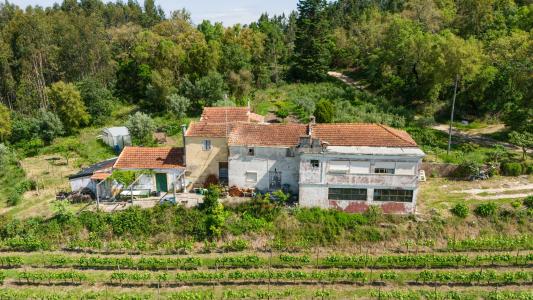 Coimbra, Coimbra 3040-115, Portugal