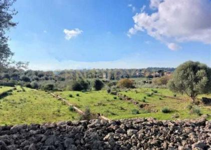 Camporotondo Etneo, Sicilia 95040, Italy