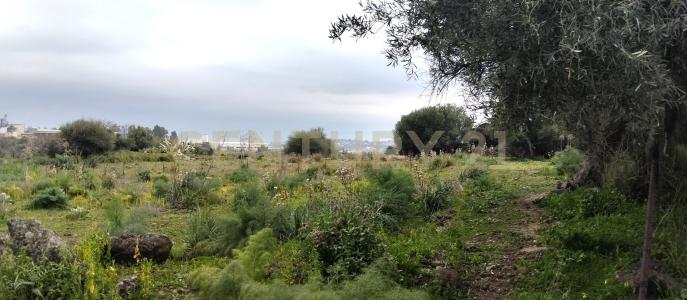 Belpasso, Sicilia 95032, Italy
