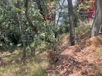 TORRE DE GALES MZ 35 LT 12,, Atizapán De Zaragoza, ولاية مكسيكو 52938, المكسيك