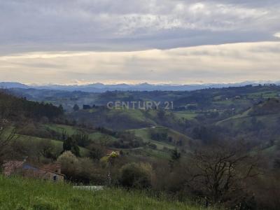 Asturias, Principado De Asturias 33392, Spain