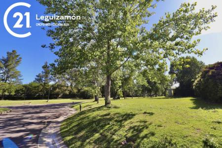 ruta 9 km 65 , Campana, GBA Norte 00001, Argentina