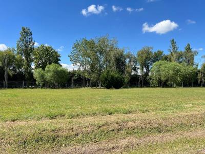 Ruta 6, KM 185 , Campana, GBA Norte 2814, Argentina