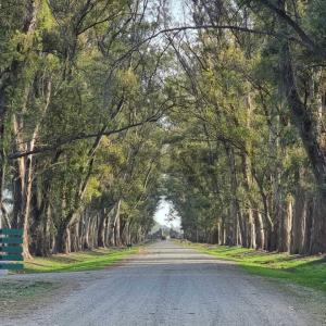 Bernardino Rivadavia km 14,5 , San Andrés De Giles, Buenos Aires (fuera De GBA) 6720, 阿根廷