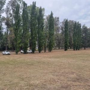 Bernardino Rivadavia km 14,5 , San Andrés De Giles, Buenos Aires (fuera De GBA) 6720, ארגנטינה