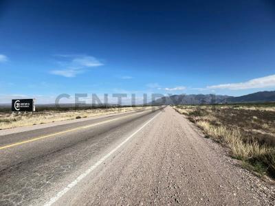 Luján De Cuyo, Mendoza 5507, Argentina