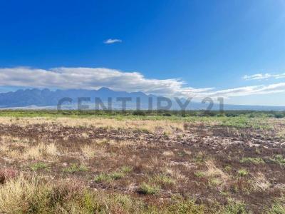 Luján De Cuyo, Mendoza 5507, Argentina