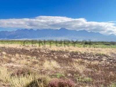 Luján De Cuyo, Mendoza 5507, Argentina