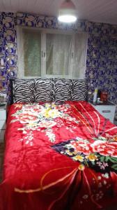 calle 16 esquina X 000, Parque Del Plata Norte, Canelones 15200, Uruguay