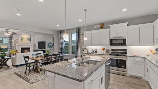8725 TALLWOOD LN, Justin, Teksas 76247, USA