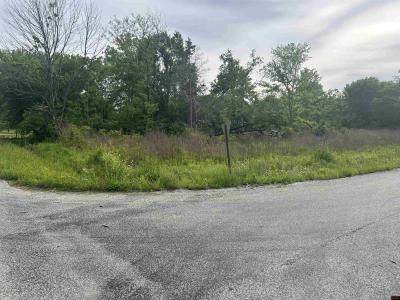 Lot 25 MEADOWDALE STREET, Mountain Home, Arkansas 72653, HOA KỲ