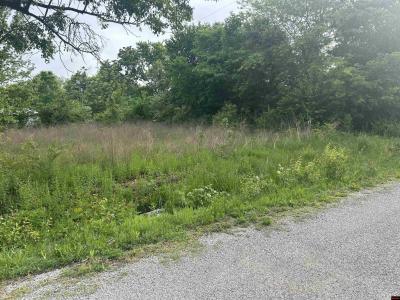 Lot 25 MEADOWDALE STREET, Mountain Home, 阿肯色州 72653, 美国