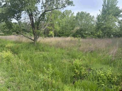 Lot 25 MEADOWDALE STREET, Mountain Home, 阿肯色州 72653, 美国