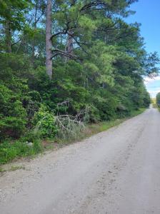 L46126 Reily Village, Corrigan, Texas 75939, Stati Uniti