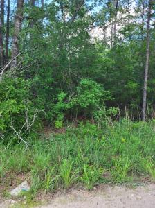 L46126 Reily Village, Corrigan, Texas 75939, Stati Uniti