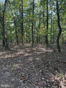 Light Road, Winchester, Virginia 22603, USA