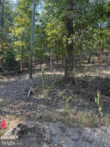 Light Road, Winchester, Virginia 22603, Estados Unidos