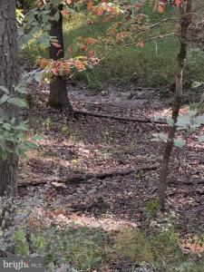 Light Road, Winchester, Virginia 22603, Estados Unidos