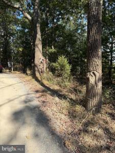 Light Road, Winchester, Virginia 22603, Estados Unidos