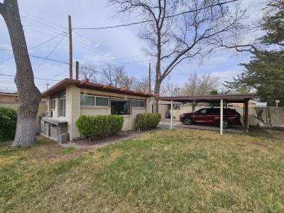 1131 TRACY PLACE, Carlsbad, NM 88220, USA