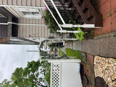 716 Cemetery Street, Williamsport, 宾夕法尼亚州 17701, 美国