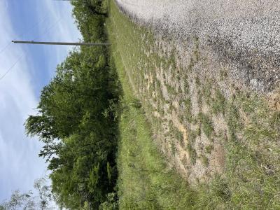 Lot 12 Little Valley Drive, Runaway Bay, Texas 76426, USA