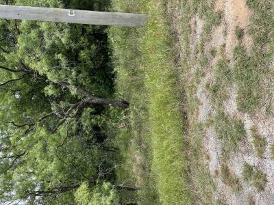 Lot 12 Little Valley Drive, Runaway Bay, Texas 76426, USA