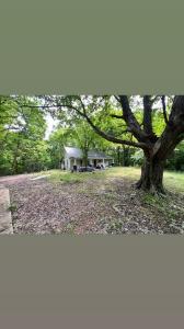 1551 Cumberland Heights Rd, Clarksville, Tennessee 37040