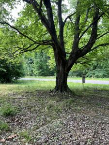 1551 Cumberland Heights Rd, Clarksville, Tennessee 37040