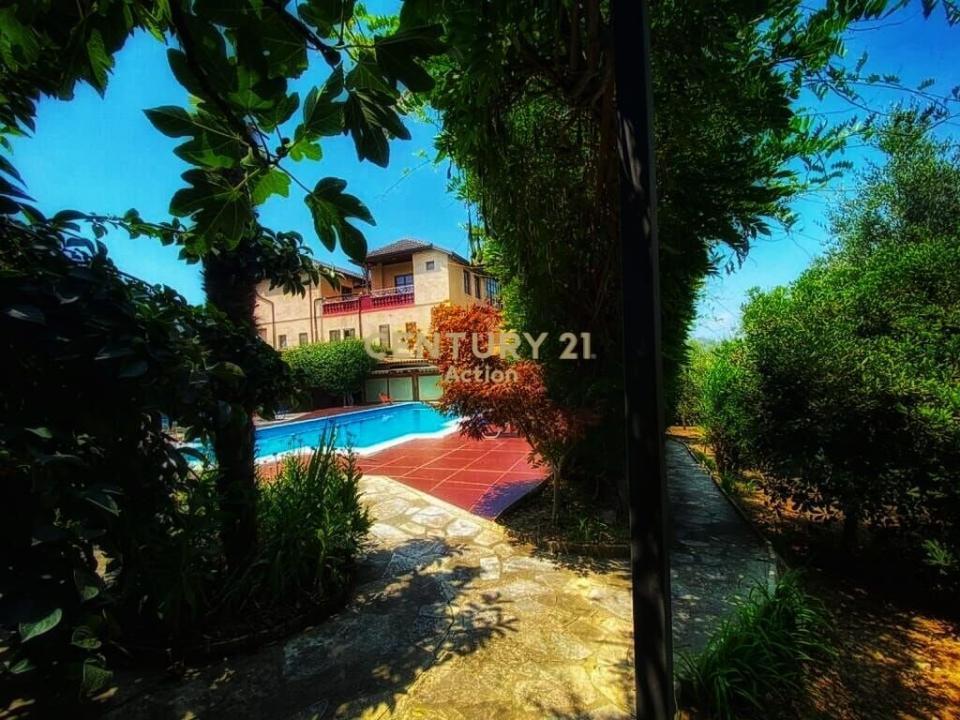 Pezë - Helmes, Tirana, Albania