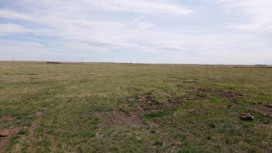 VULCAN COUNTY, Rural Vulcan County, 阿爾伯塔 T0L 2B0, 加拿大