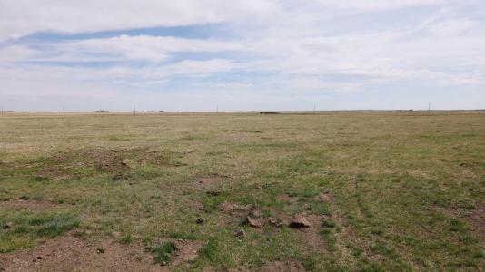 VULCAN COUNTY, Rural Vulcan County, Alberta T0L 2B0, Canada