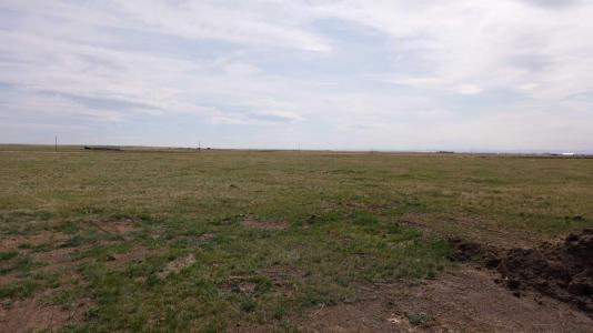 VULCAN COUNTY, Rural Vulcan County, 阿爾伯塔 T0L 2B0, 加拿大