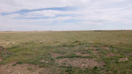 VULCAN COUNTY, Rural Vulcan County, Alberta T0L 2B0, Canada