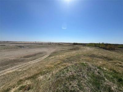 38067 172 W ROAD SOUTHWEST, Pipestone, Manitoba R0M 1X0, Canadá