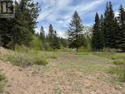 780 KANE VALLEY ROAD, Merritt, קולומביה הבריטית V1K 1B8, קנדה 