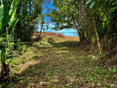 Savegre Quepos, Puntarenas 00001, Costa Rica