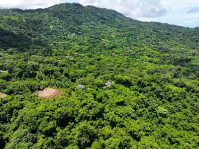 Savegre Quepos, Puntarenas 00001, Costa Rica