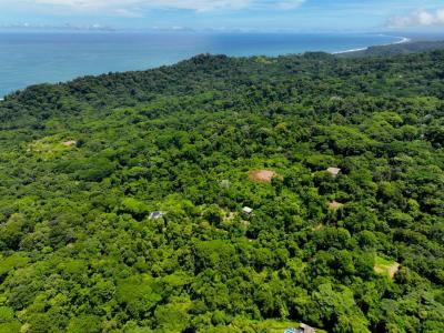 Savegre Quepos, Puntarenas 00001, Costa Rica