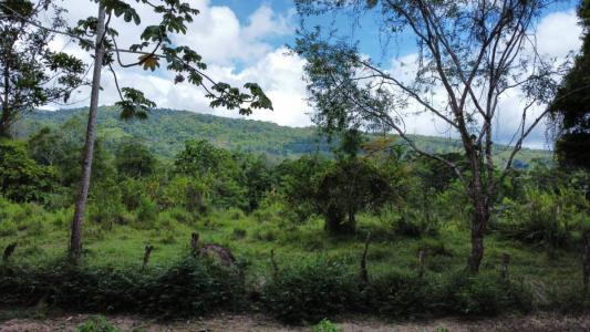 Barú Pérez Zeledón, San José 00001, Costa Rica