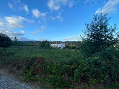 Figueiró Dos Vinhos, 르이리아 3260, 포르투갈