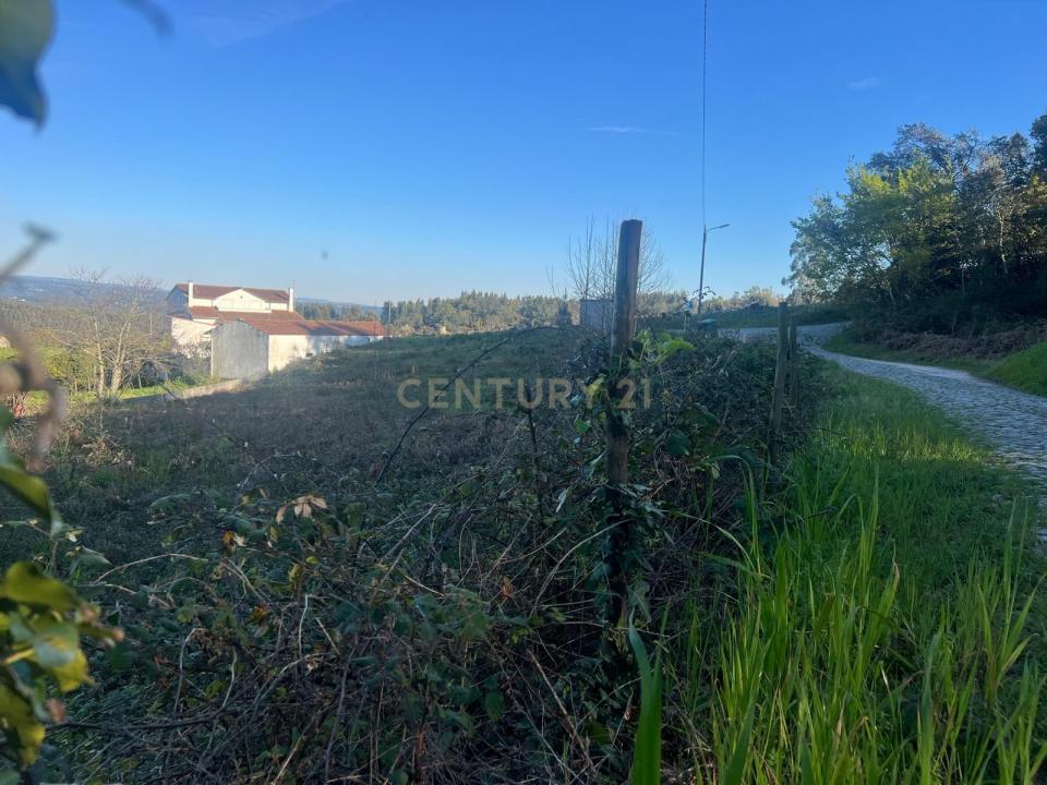 Figueiró Dos Vinhos, Leiria 3260, Portogallo