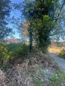 Figueiró Dos Vinhos, Leiria 3260, Portogallo