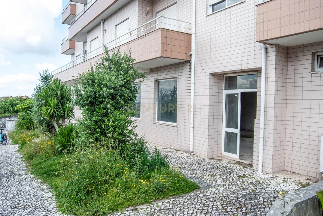 Oliveira De Azeméis, Aveiro 3720-283, Portugal