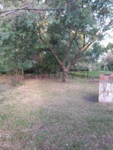 FRONDIZI S/N, Concepción Del Uruguay, Entre Rios 3260, Argentine