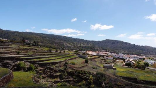 سانتا كروث دي تينيريفه, Canarias 38613, إسبانيا