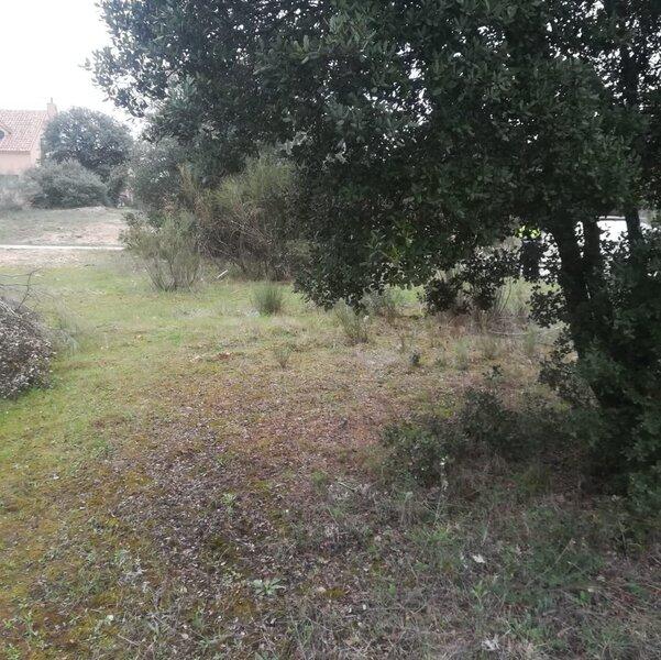 Toledo, Castilla-La Mancha 45910, スペイン