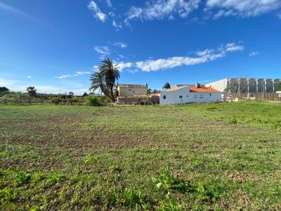 Tarragona, Cataluña/Catalunya 43877, Spain
