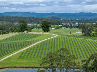 40B Hallgaths Road, Coffs Harbour, NSW 2450, Australia
