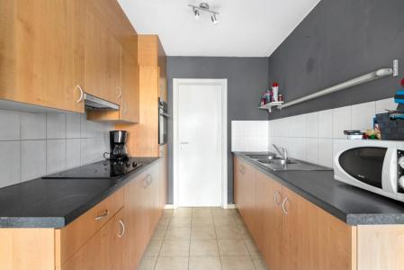 Riethof 8 0202, Oudenaarde, 9700, Belgique